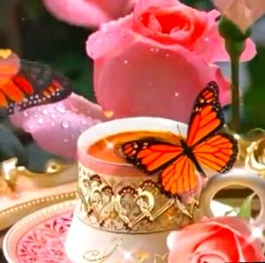 Any reasonable offer will be considered.